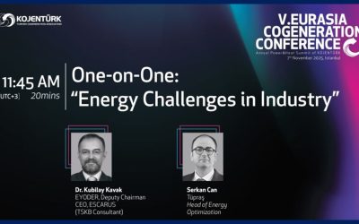 One-on-One: Energy Challenges in Industry